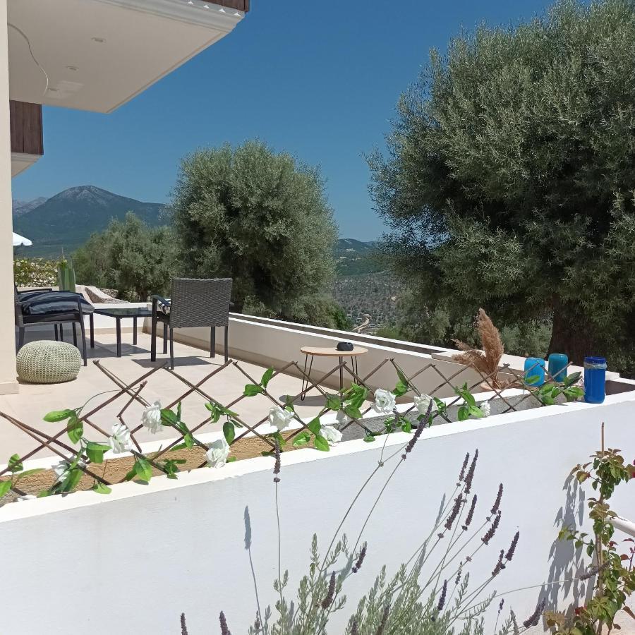 Kotseris Luxury Villas, Jiovanni Villa & Angelina Villa Sivota  Bagian luar foto